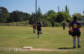 Softball014-gallery1510_Dec4125439.jpg image