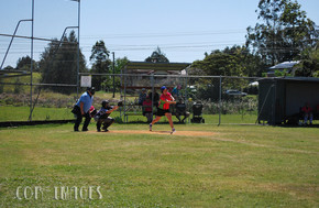 Softball083-gallery1510_Dec4125333.jpg image