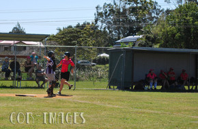 Softball091-gallery1510_Dec4125346.jpg image