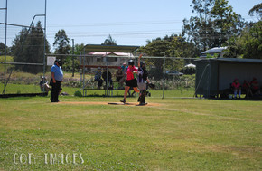 Softball092-gallery1510_Dec4125344.jpg image