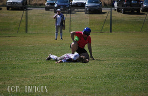 Softball094-gallery1510_Dec4125348.jpg image