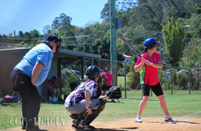 Softball137-gallery1510_Dec4125247.jpg image