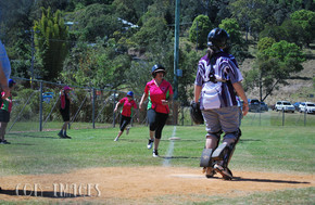 Softball141-gallery1510_Dec4125249.jpg image