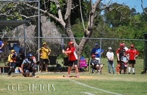 Softball163-gallery1510_Dec4125300.jpg image