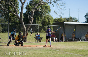 Softball191-gallery1510_Dec4125309.jpg image