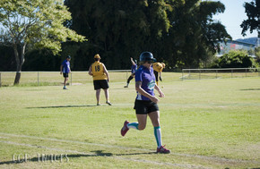 Softball193-gallery1510_Dec4125311.jpg image