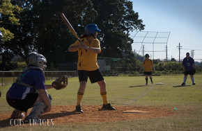 Softball223-gallery1510_Dec4125321.jpg image