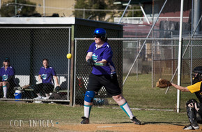 Softball251-gallery1510_Dec4125246.jpg image