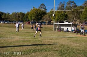 Softball270-gallery1510_Dec4125242.jpg image