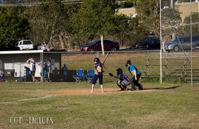 Softball272-gallery1510_Dec4125239.jpg image