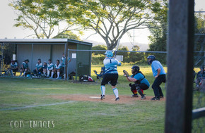 Softball300-gallery1510_Dec4125225.jpg image