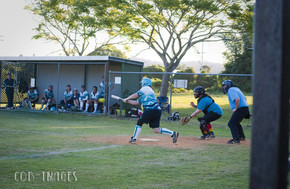 Softball301-gallery1510_Dec4125226.jpg image