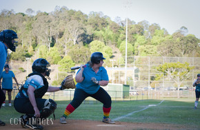 Softball312-gallery1510_Dec4125221.jpg image