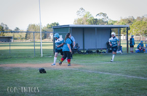 Softball350-gallery1510_Dec4125211.jpg image