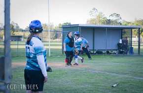 Softball358-gallery1510_Dec4125208.jpg image