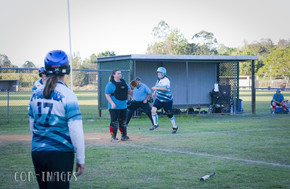 Softball359-gallery1510_Dec4125208.jpg image