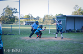 Softball367-gallery1510_Dec4125206.jpg image