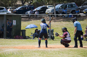 Softball385-gallery1510_Dec4125200.jpg image