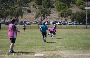 Softball415-gallery1510_Dec4125147.jpg image