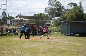 Softball442-gallery1510_Dec4124722.jpg image