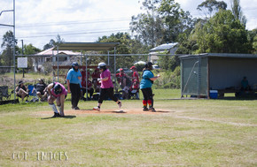 Softball454-gallery1510_Dec4124726.jpg image