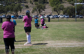 Softball461-gallery1510_Dec4124914.jpg image