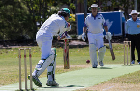 cricket_3-gallery1531_Dec8161409.jpg image